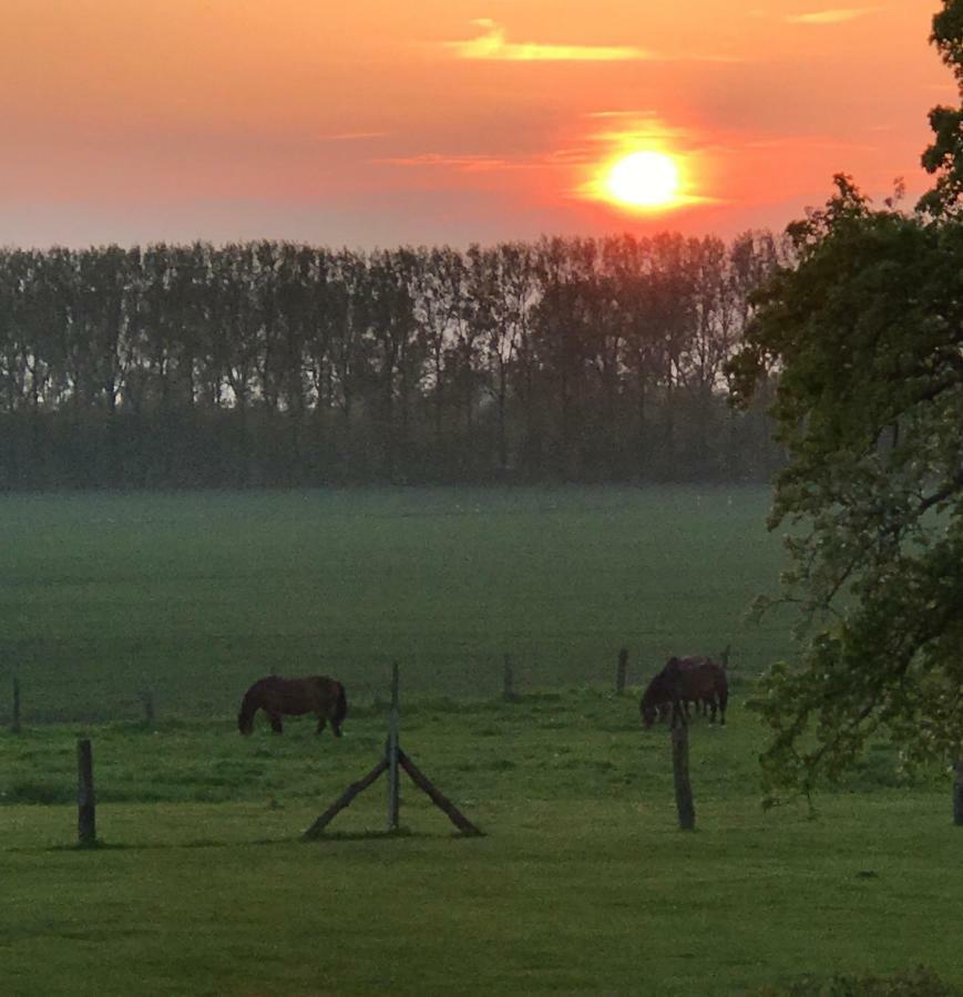 Ferienresidenz Am Salzhaff Appartement Blengow Buitenkant foto
